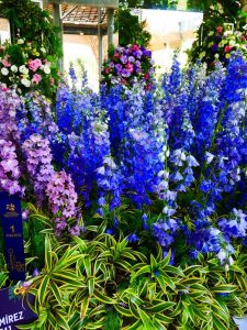 Medellin fête des fleurs 2018