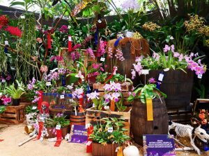 Medellin fête des fleurs 2018