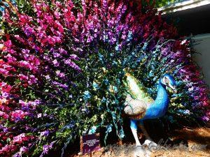 Medellin fête des fleurs 2018