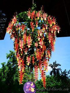 Medellin fête des fleurs 2018