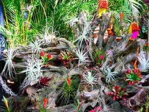 Medellin fête des fleurs 2018