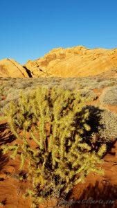 USA, Valley of fire