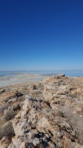 USA, Salt lake city, antelop island