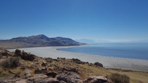 USA, Salt lake city, antelop island