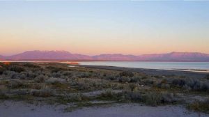 USA, Salt lake city, antelop island