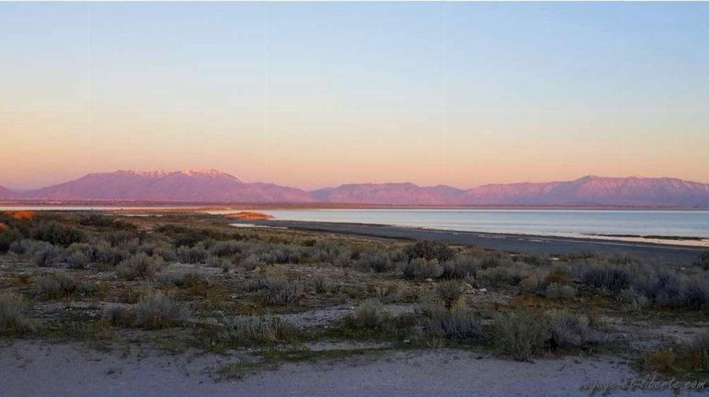 USA, Salt lake city, antelop island