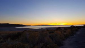 USA, Salt lake city, antelop island