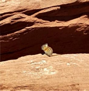 USA, Canyonlands