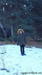 USA, Grand Canyon, north face