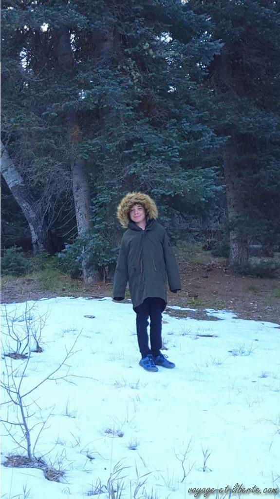 USA, Grand Canyon, north face