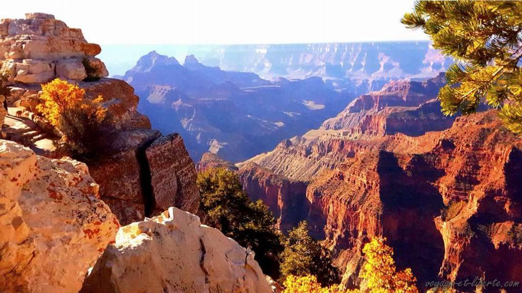 USA, Grand Canyon, north face
