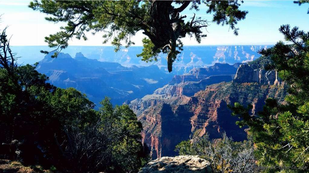 USA, Grand Canyon, north face