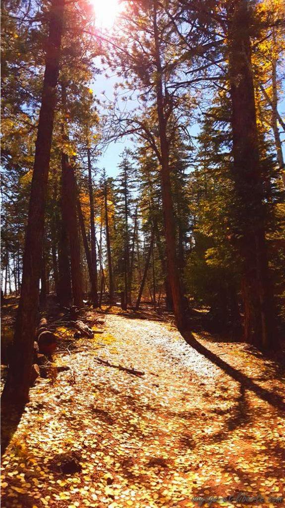 USA, Grand Canyon, north face