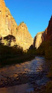 USA, Zion National Park