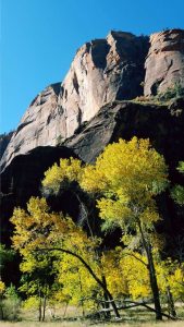 USA, Zion National Park