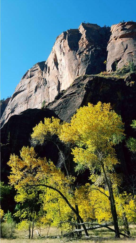 USA, Zion National Park