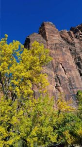 USA, Zion National Park