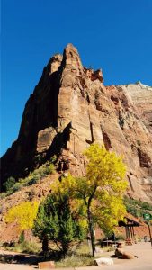 USA, Zion National Park