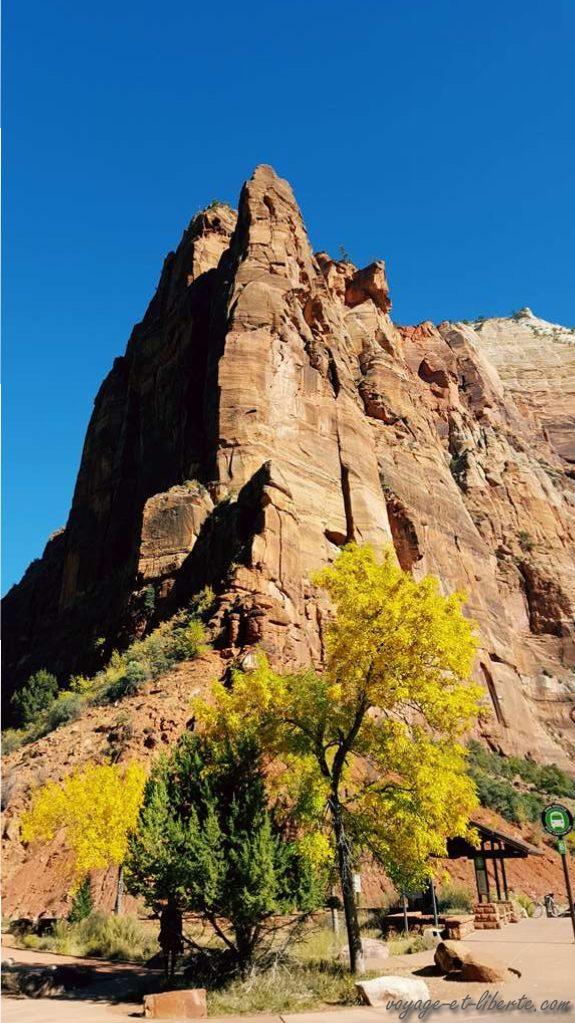 USA, Zion National Park