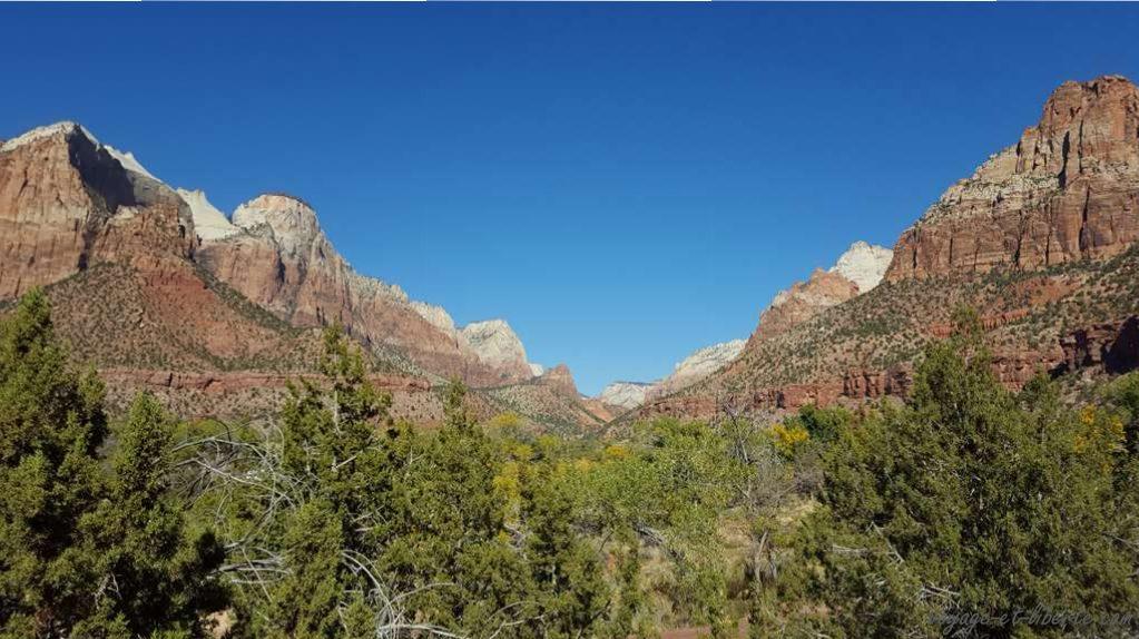 USA, Zion National Park
