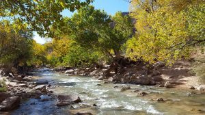 USA, Zion National Park