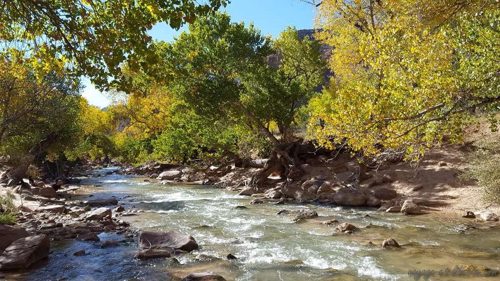 USA, Zion National Park