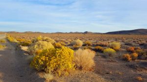 USA, California, Santa Barbara