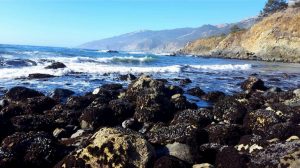 USA, California, Big Sur