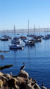 USA, California, Monterey