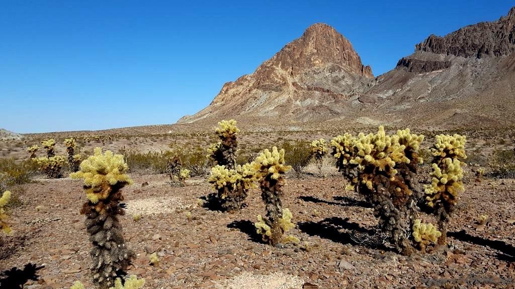 USA, Oatman, road 66, route 66