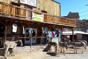 USA, Oatman, road 66, route 66