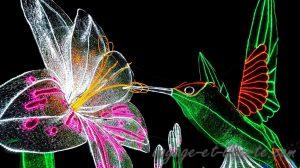 Colombie, Medellin, alumbrados 2018