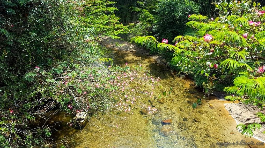 Colombie, Antioquia, San Rafael