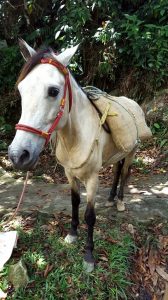 Colombie, Antioquia, San Rafael