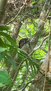 Colombie, Antioquia, San Rafael