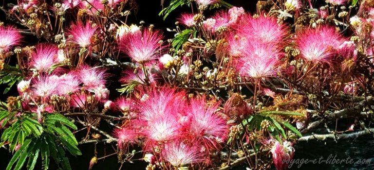 Colombie, Antioquia, San Rafael