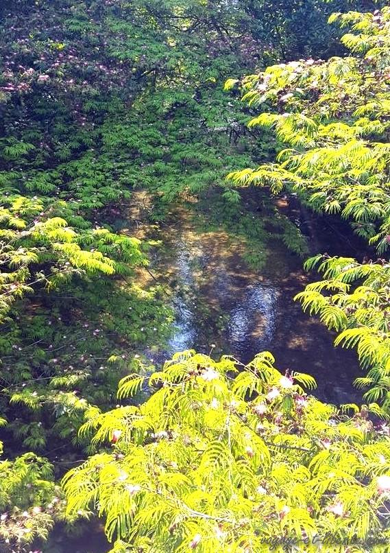 Colombie, Antioquia, San Rafael