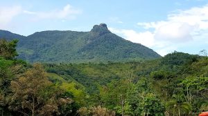 San Carlos
