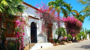 El Alamo Mexique