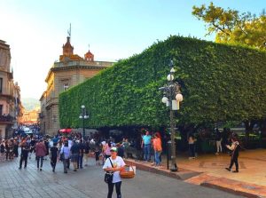 Guanajuato