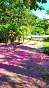 Rio Claro Antioquia