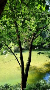Rio Claro Antioquia