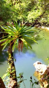Rio Claro Antioquia