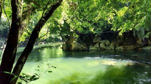 Rio Claro Antioquia