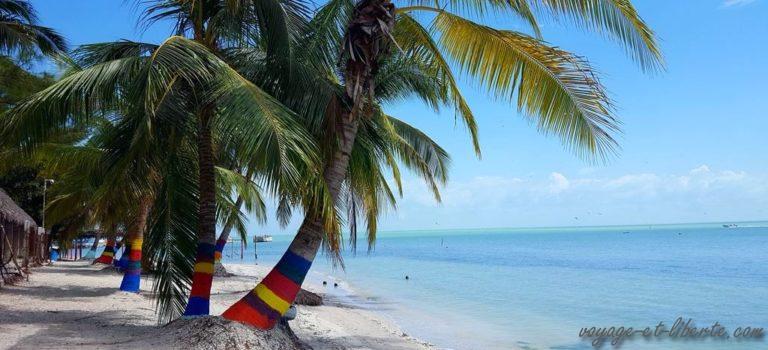 Aventuriers malgré nous dans un décor paradisiaque