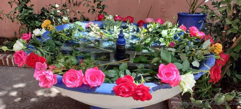 A Marrakech, une semaine après le séisme