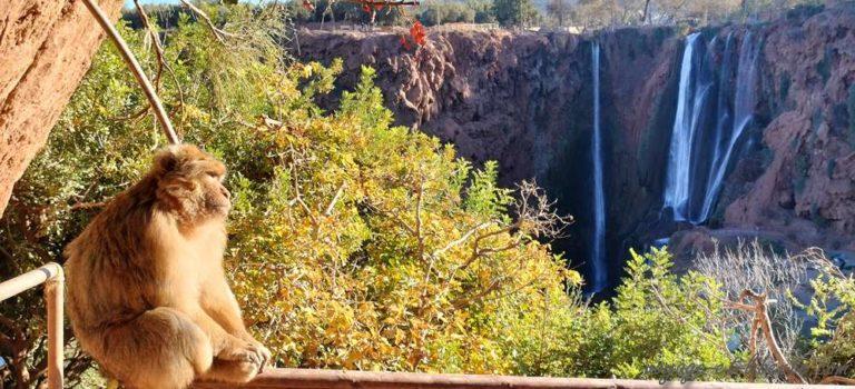 Trois semaines sur les routes, petite virée aux cascades d&rsquo;Ouzoud