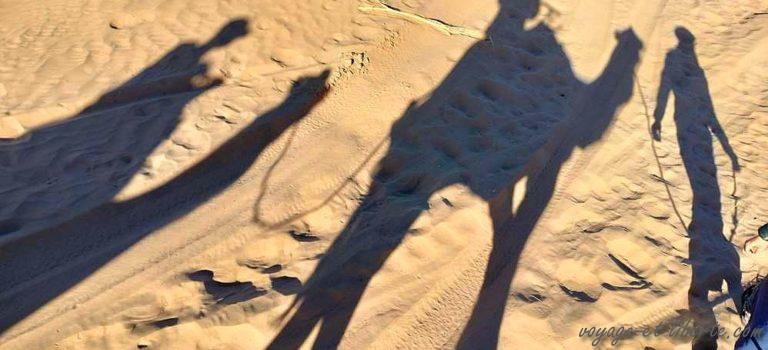 Cap sur le désert !