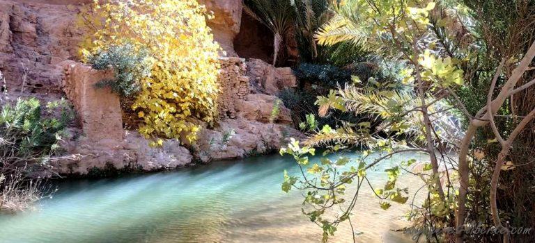 Le Maroc dans la version splendide de ses oasis