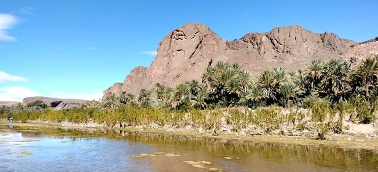 Le sud comme on l&rsquo;imagine … ou pas !